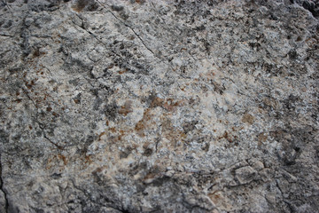 Gray and white seaside stone texture