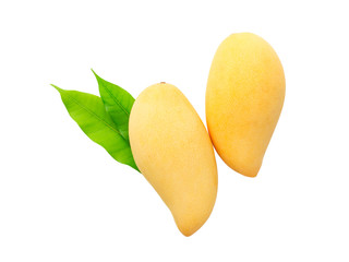 mangoes with leaf isolated on white