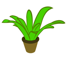 Vector illustration, flat cartoon green plant in brown pot isolated on white background