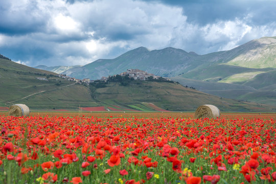 Castelluccio Di Norcia, Umbria, Bel Paese, Italia.