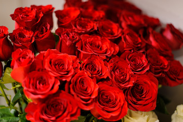 Obraz na płótnie Canvas Close up photo of bright red roses