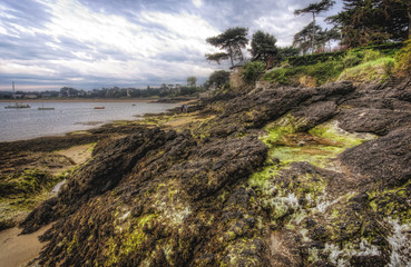 Fototapeta na wymiar Coastal view in France with trees and rocks