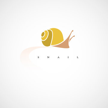 Snail. Design vector illustration. Isolated on white background.