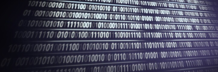 Binary code