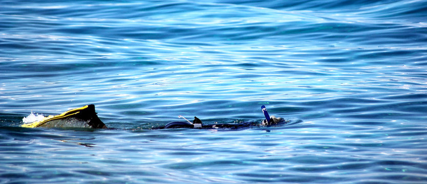 Schnorchler im Meer, Tauchen, Tauchkurs