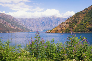 Fototapeta na wymiar Sunny summer landscape. Montenegro, coast of Bay of Kotor