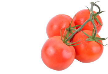 Closeup of tomatoes on the vine isolated on white