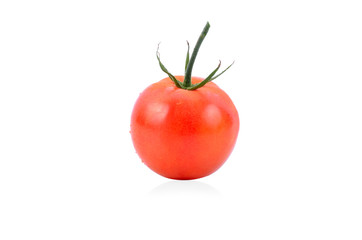 Closeup of tomatoes on the vine isolated on white