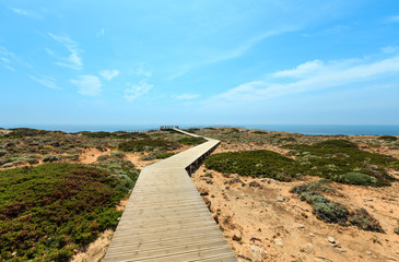 Wooden paths and observation decks on summer coast.