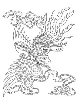 chinese pattern phoenix illustration,hand drawn painting