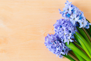 Flat lay, flowers, spring, hyacinths, home flowers, plant