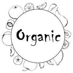 Black and white banner fruit sketch hand drawing simple minimal vector card