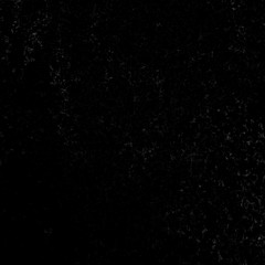 leaf dark tone and text box. copy space