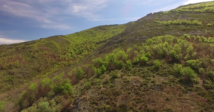 Aerial View Of Hayedo de Tejera Negra 5