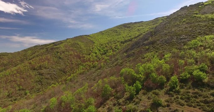 Aerial View Of Hayedo de Tejera Negra 4