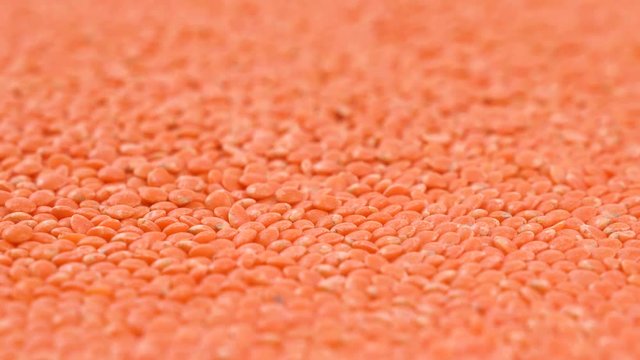 Boundless Red Chief lentils turnig around background. Close-up of vegetarian food.
