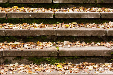 Beautiful orange autumnal leaves on stairs. Seasonal Concepy.