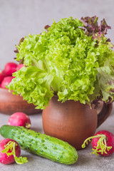 Vegetables for spring vitamin salad. Fresh leaf green salad in a clay pot, a cucumber and radish on an old table. 