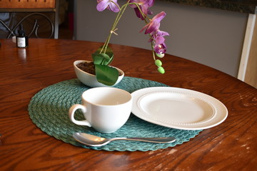 tea time with orchids