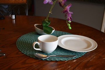 tea time with orchids