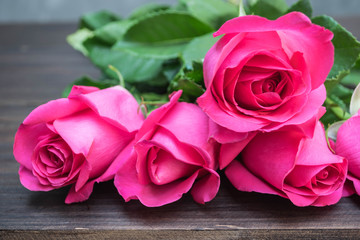 Pink rose on wooden background