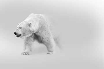Fotobehang ijsbeer loopt uit de schaduw het licht in digitale natuurkunst witte editie © Effect of Darkness