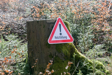 Holzfällung!