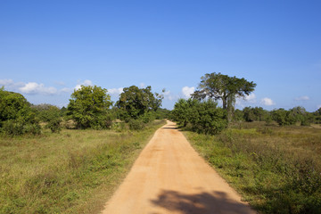 wasgamuwa national park scenery
