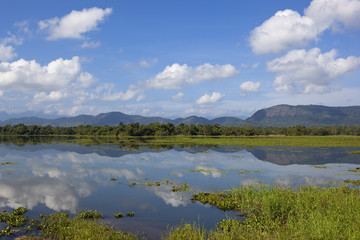 wasgamuwa park scenery in sri lanka