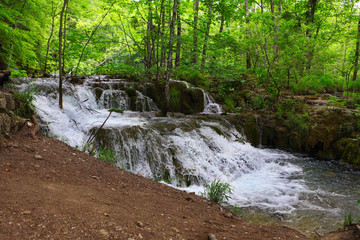 Small tropical waterfall in rain forest