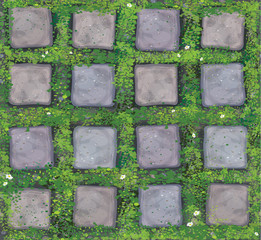 Vector seamless texture gray stones  pavement  covered grass.