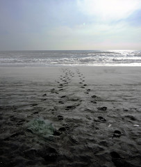 Then only America. Kamchatka. Pacific Ocean.