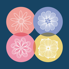 icon set of beautiful flowers over colorful circles and blue background, vector illustration