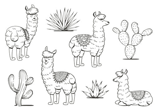 Set of cute lamas and cacti. Vector illustration.