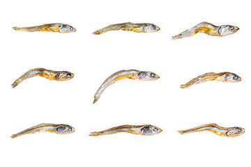 Set of different dried japanese anchovies on white background. Close up.