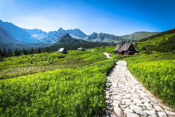 Obraz premium Hala Gasienicowa(Valey Gasienicowa) in Tatra mountains in Zakopane,Poland