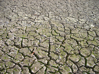 Drought. The dried up soil is close up. The bottom of the dried up pond.