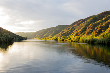 Weinberge an der Mosel