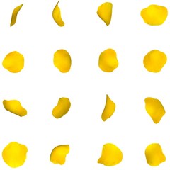 A set of yellow rose petals in different angles