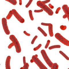 Red bacteria inside the body on a white isolated background