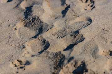 footprint in the sand