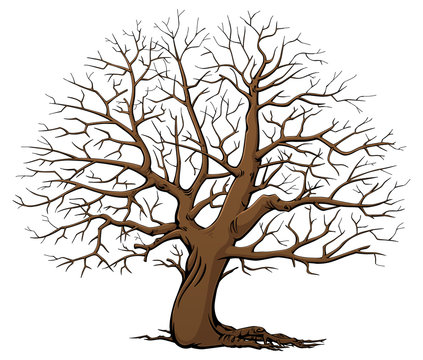 Tree without leaves. Dry wood. Cartoon style.