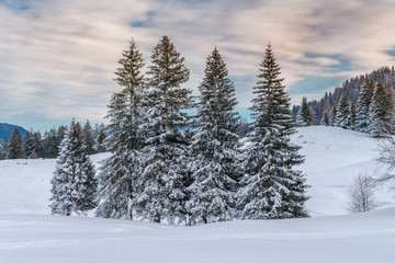 Fototapeta premium Winterlandschaft bei Reit im Winkl