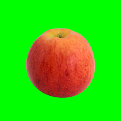 Red ripe apple isolated on green background