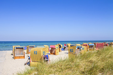 Insel Poel, Strandk&ouml;rbe 