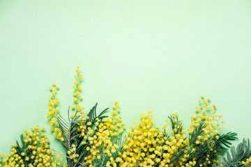 Bouquet of mimosa flowers on green background. International Women Day. Top view, flat lay