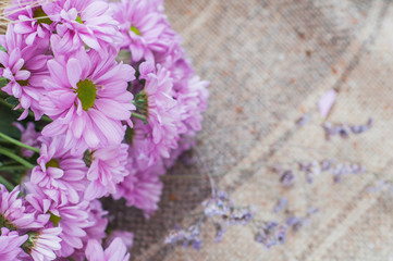 pink chrysanthemums with dry yellow ears of wheat on a background with burlap