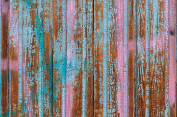 background of wooden boards with old shabby pink and blue paint