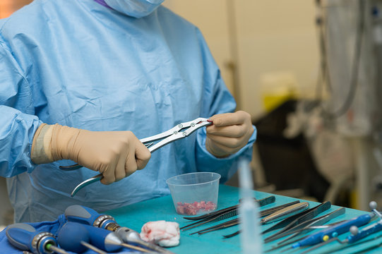 SPINE SURGERY