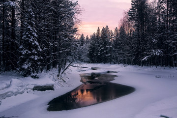 закат  в лесу 